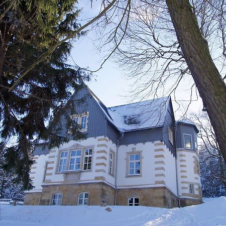 Villa-Unger Altenberg 외부 사진